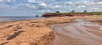 Spacious family-friendly rural apt with huge yard. 15 min between beaches & town