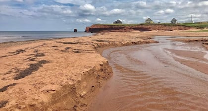 Spacious family-friendly rural apt with huge yard. 15 min between beaches & town