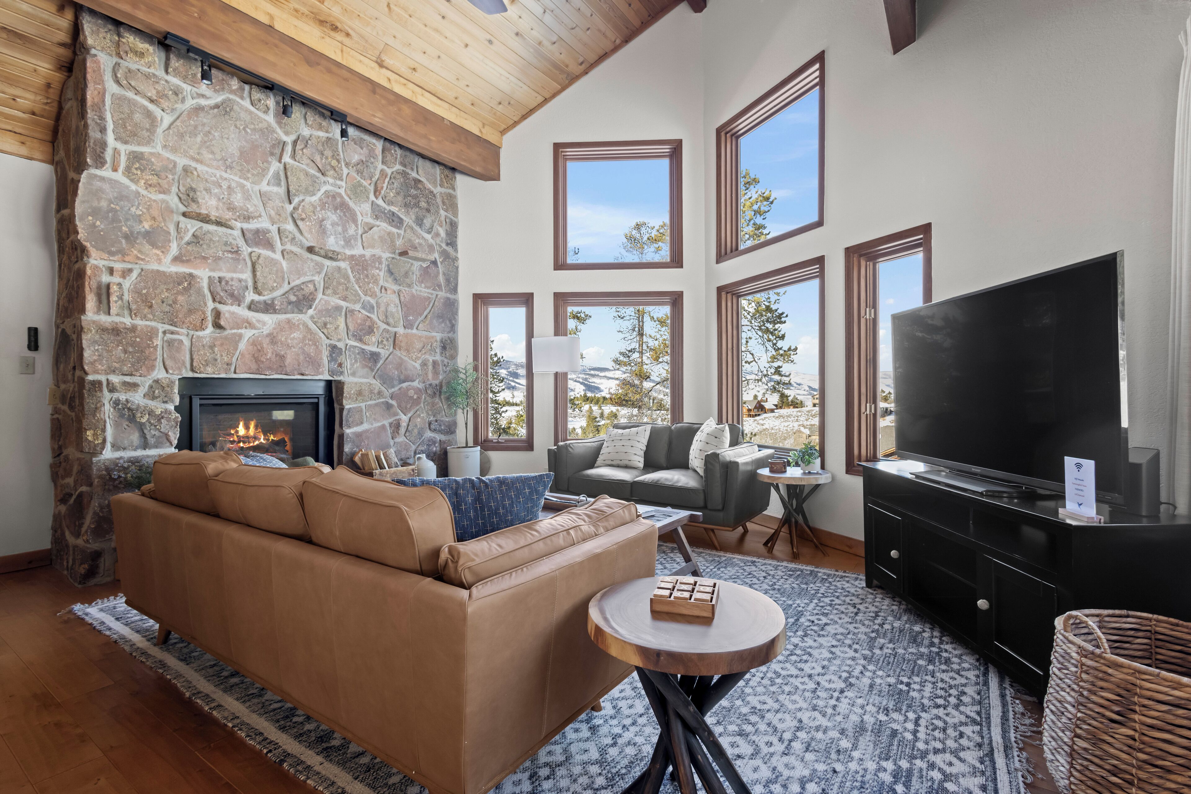 智能電視、壁爐、書籍