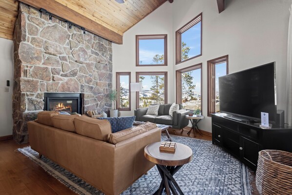 Smart TV, fireplace, books