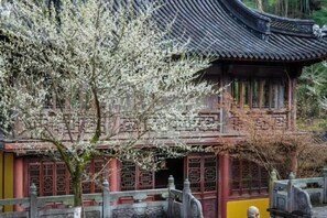 Quang cảnh nhìn từ nơi lưu trú