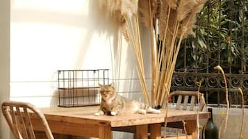 A cat sitting on a wooden table with a chair, a metal basket, and pampas grass in the background.