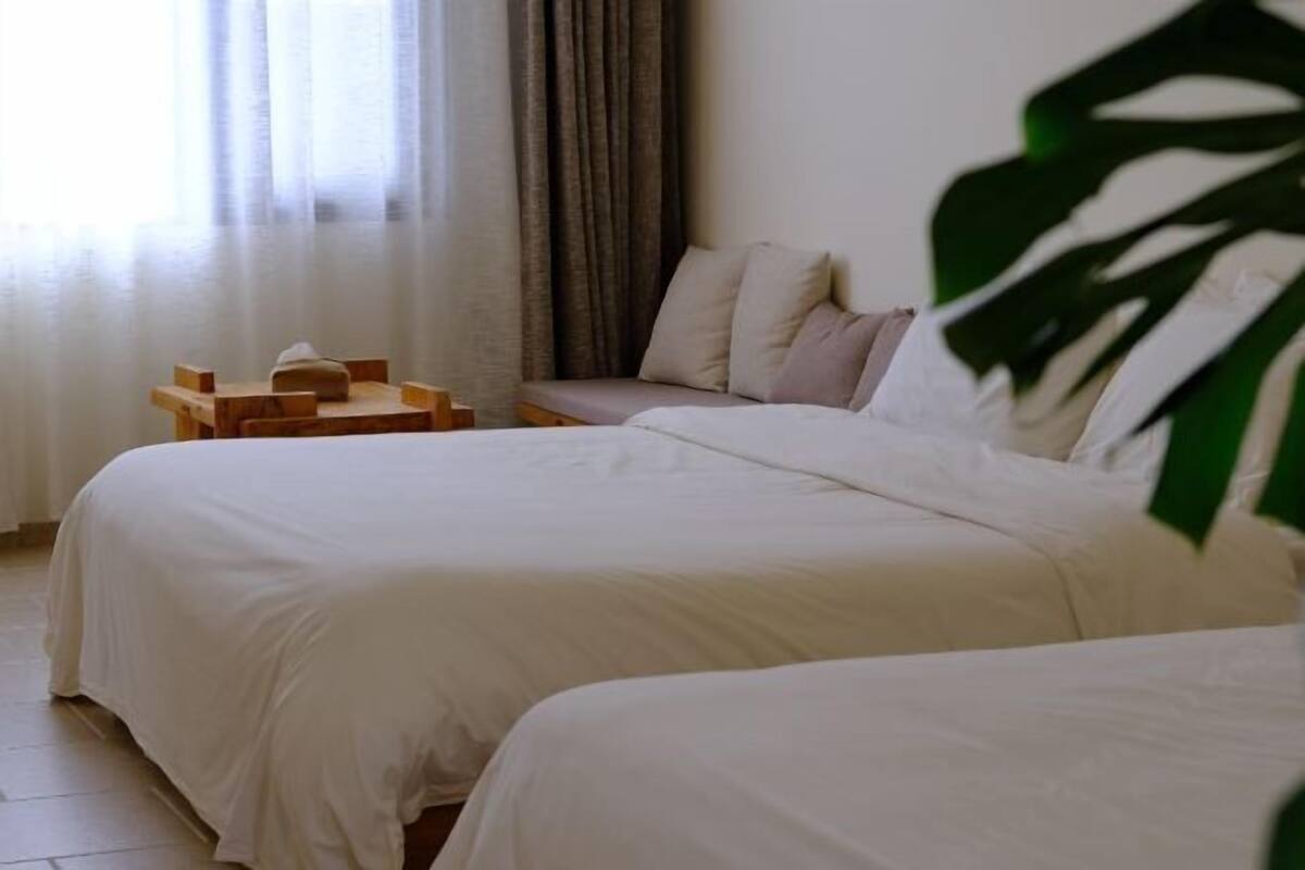 Een kamer met twee bedden, een klein houten tafeltje en een plant.