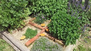 A garden with various plants and a wooden fence.