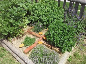 Jardines del alojamiento