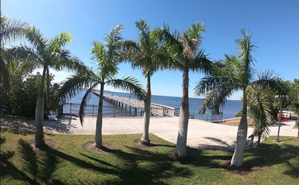 Un paseo marítimo con palmeras y un muelle que se adentra en el agua.