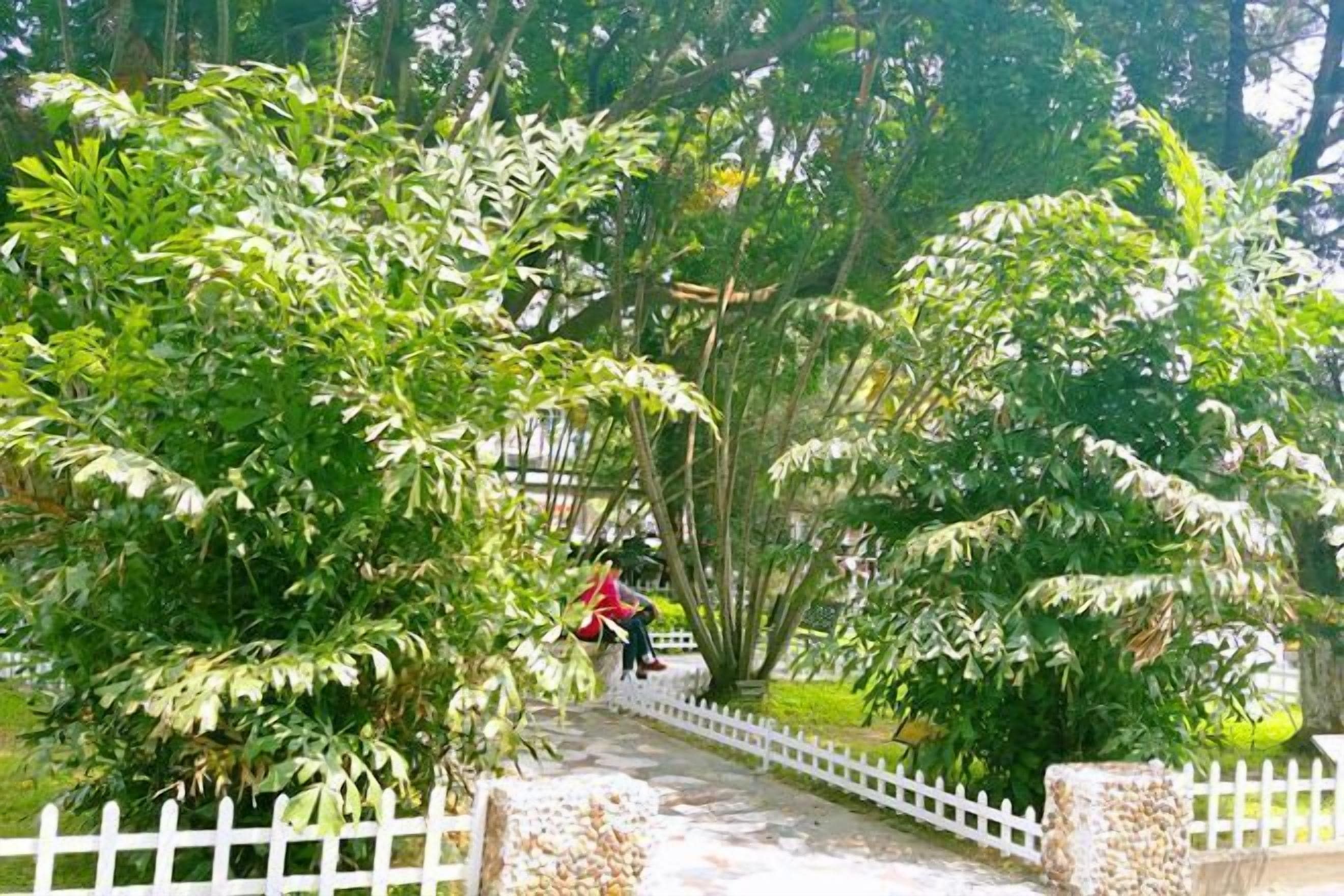 Jardín