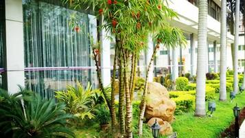 A landscaped garden with palm trees, a rock feature, and a building with large windows.