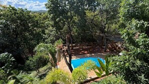 Une piscine entourée d’une végétation luxuriante et d’arbres, sous un ciel dégagé.