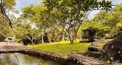 Cozy Eco House in the middle of the Atlantic Forest of Florianópolis