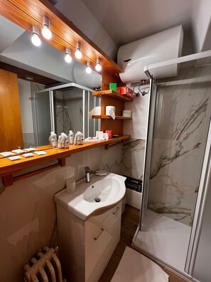 Shower, hair dryer, bidet, towels