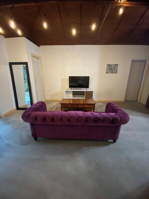 Living area - Cozy studio in fabulous Seminole Heights, Tampa with WiFi, AC (Tampa)