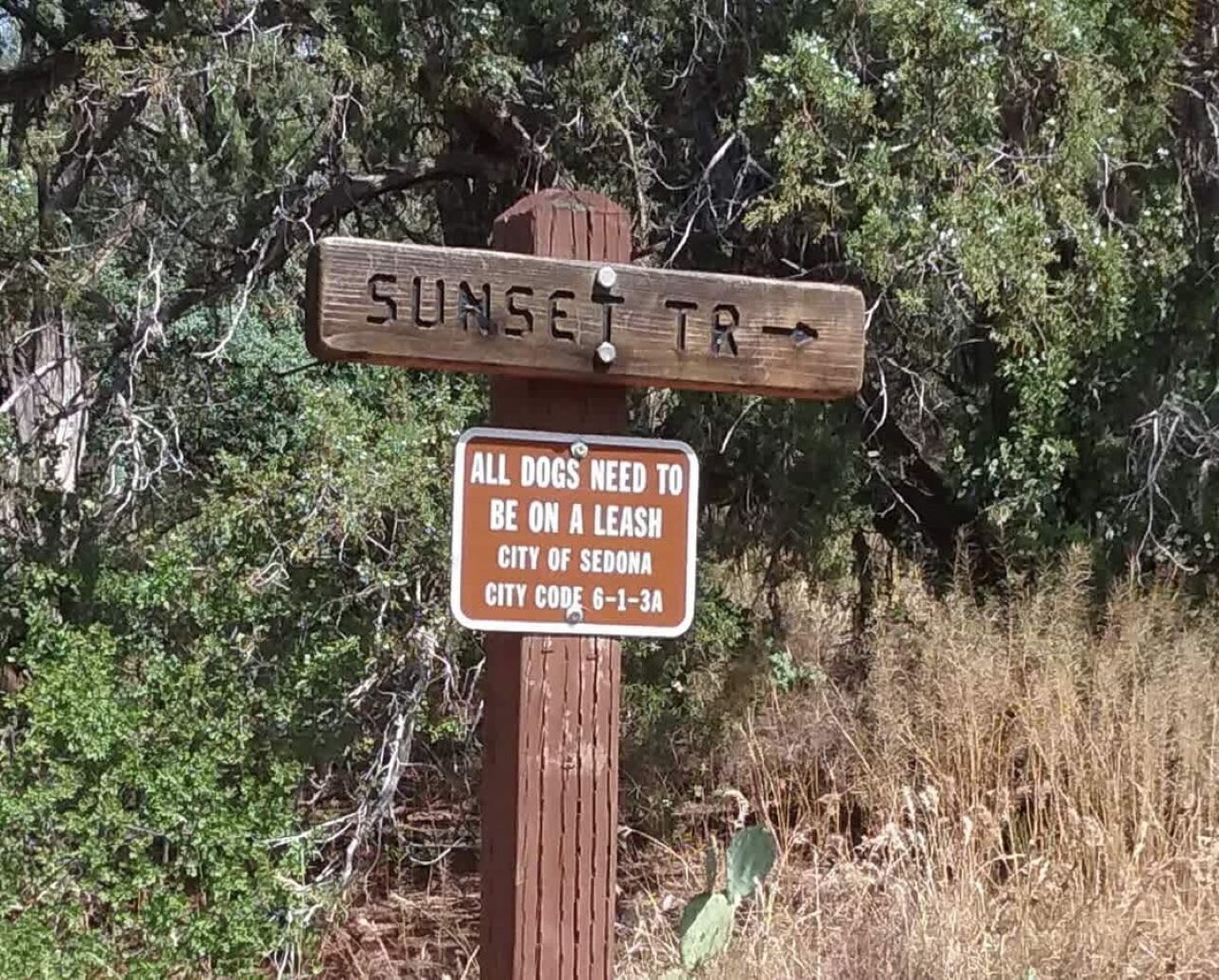 Un panneau indicateur en bois portant l’inscription « SUNSET TR » et un panneau indiquant que les chiens doivent être tenus en laisse à Sedona.