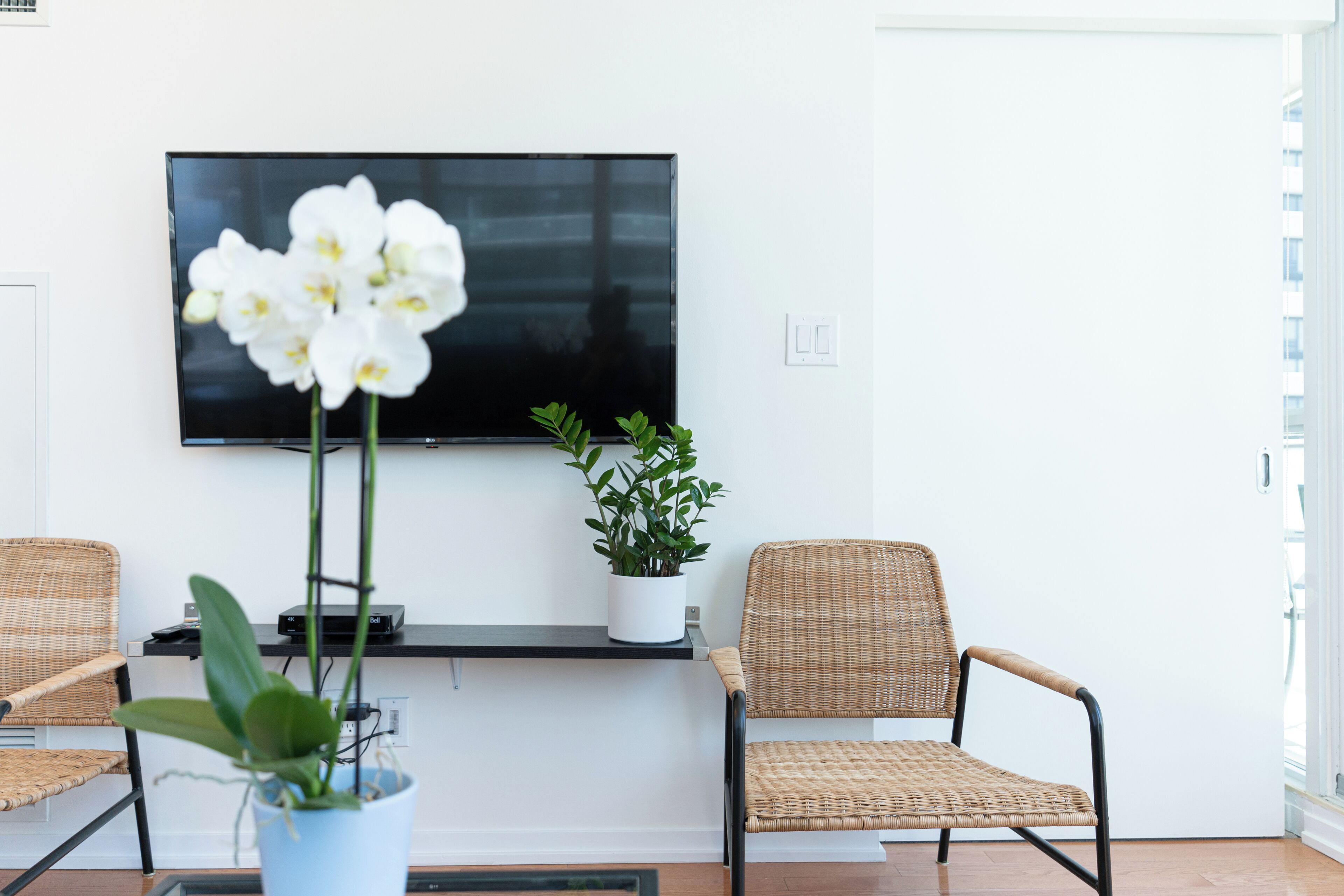 A modern living room with a flat-screen TV mounted on the wall, two wicker chairs, a white potted plant, and a small shelf with a plant and a device.