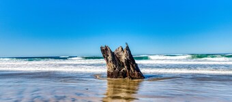 Cape Cod Cottages 4: Oceanfront with hot tub!