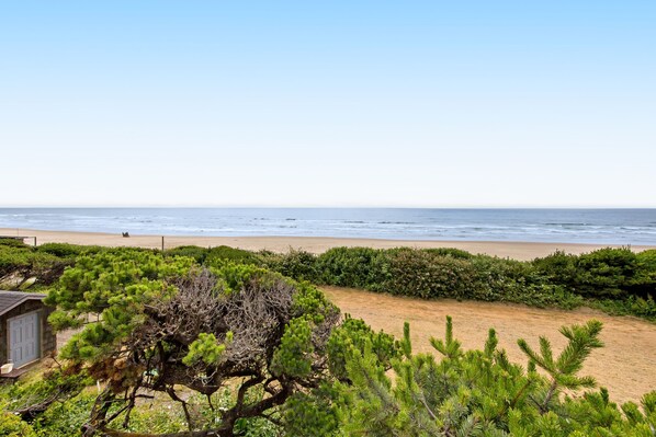 A beach view with a sandy shore, green vegetation, and a small building.
