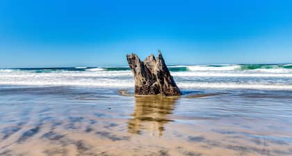Cape Cod Cottages #6 - Oceanfront Serenity