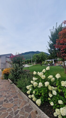 Apartments in the heart of the prosecco hills of Conegliano and Valdobbiadene