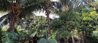 LouKaz Apartment - Coconut Grove