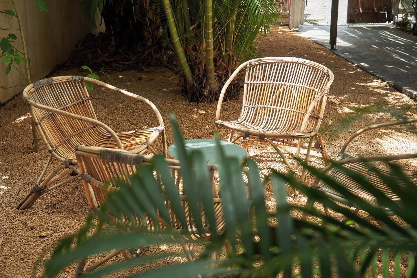 Two wicker chairs in a garden area with a small table, surrounded by plants and a concrete path.