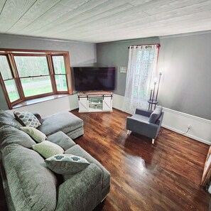 Televisor intel·ligent, llar de foc, videojocs i llibres 