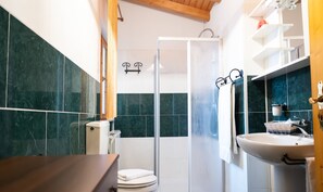 Shower, hair dryer, bidet, towels