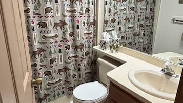 Hair dryer, towels, shampoo, toilet paper