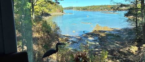 Vista d'un llac des d'una finestra, amb una figura d'ocell, un ram de flors en un vas i uns prismàtics sobre una taula.