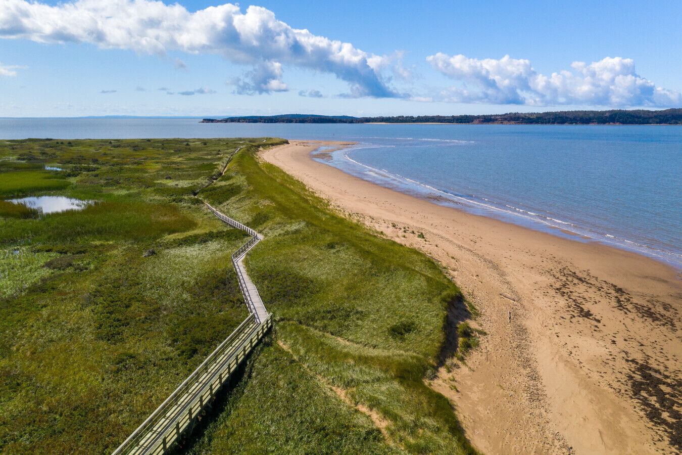 靠近海滩