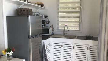 Microondas y placa de cocina
