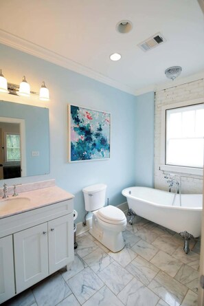 Shower, hair dryer, shampoo