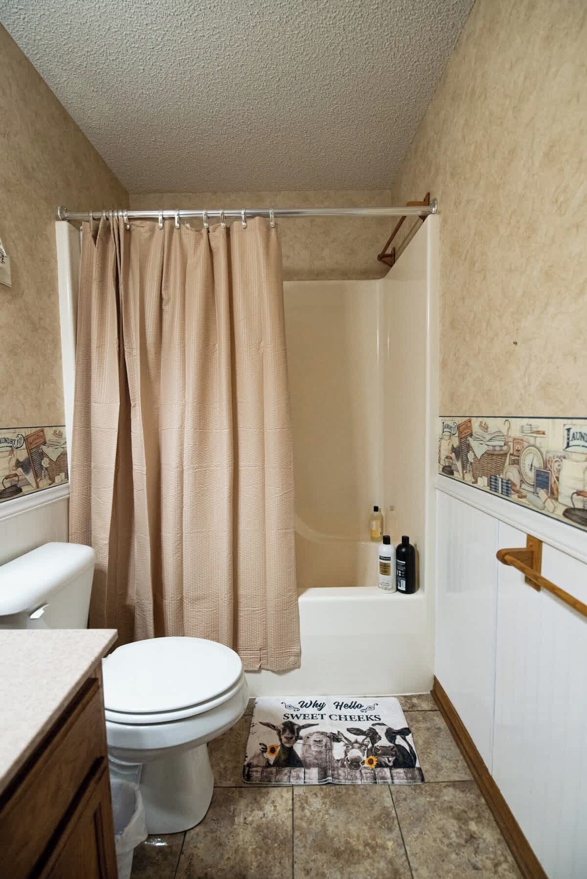 Ducha, secador de pelo y champú