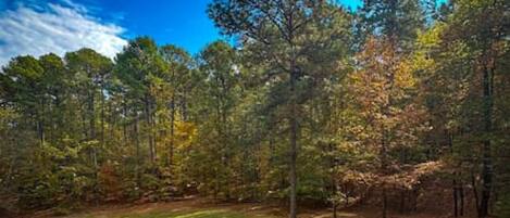 Overnatningsstedets område