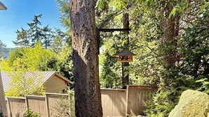 Un chemin pavé mène à une maison entourée d’une clôture en bois et bordée d’un grand arbre.
