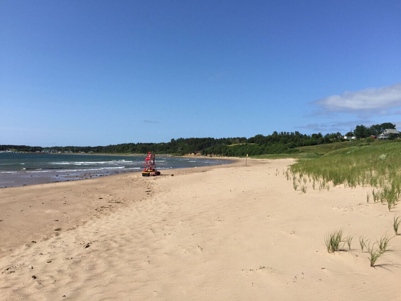 在海灘附近