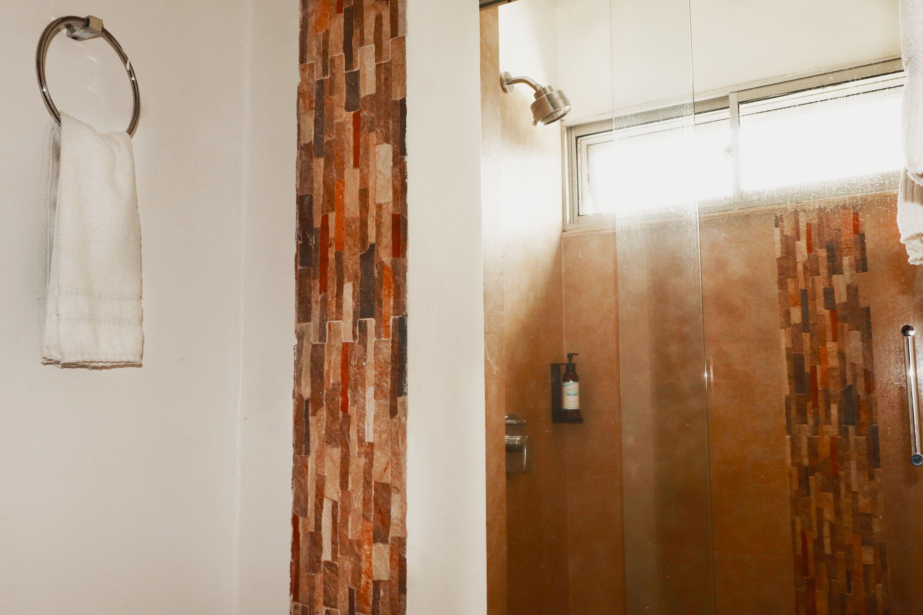 Un baño con ducha, toallero y dispensador de jabón.