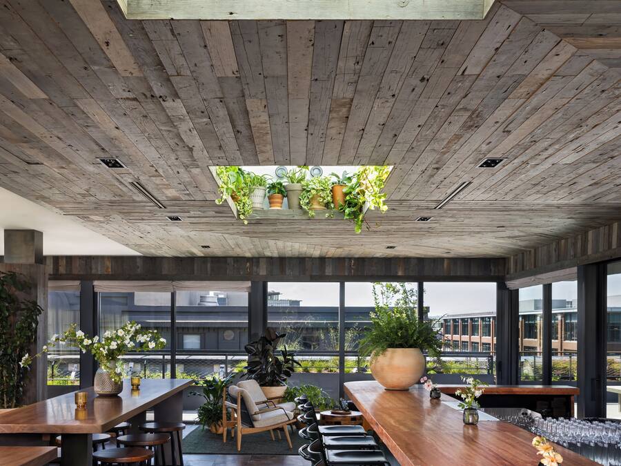A modern bar area with wooden ceiling and floor, multiple seating options, and various potted plants.