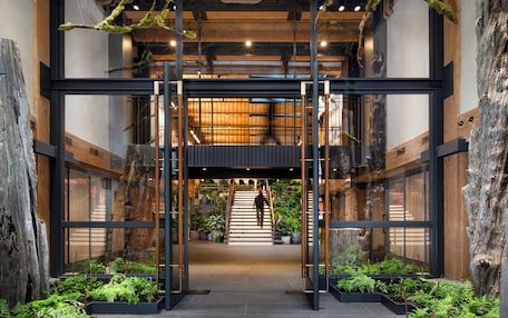 A modern interior with a central staircase, glass walls, and indoor plants.