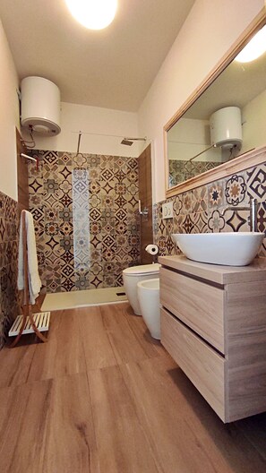 Shower, hair dryer, bidet, towels