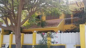 Un edificio amarillo con cerca blanca, un árbol y una planta pequeña con flores rosadas.
