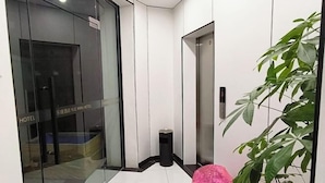 Hall d'albergo con una porta in vetro con la scritta "HOTEL", un cestino e una pianta in vaso.