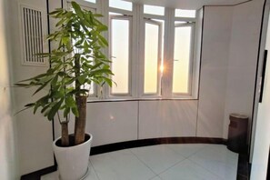 Une pièce avec une plante en pot, une fenêtre avec des stores et un sol carrelé.