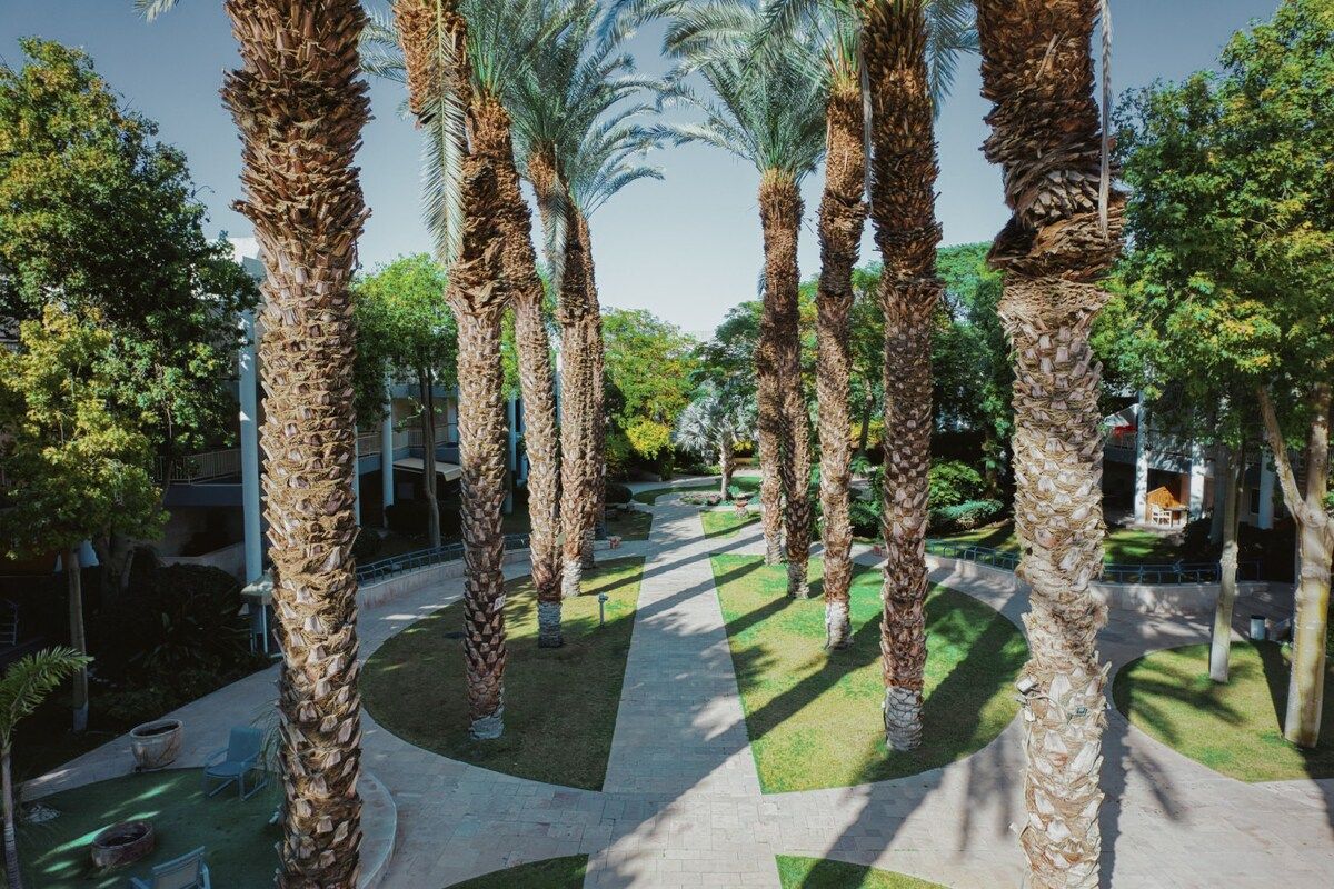 A pathway lined with palm trees and a building in the background.