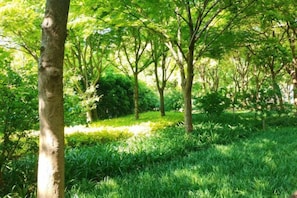 A natural outdoor area with trees and grass. - Shanghai Shujia Hotel (Shanghai)