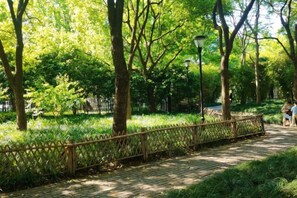 Immagine non classificata, 5 di 21, pulsante