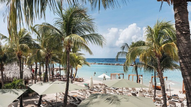 A beach resort with lounge chairs, umbrellas, and palm trees. - ONE Mambo by Bocobay (Willemstad)