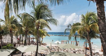 ONE Mambo by Bocobay