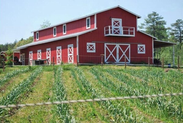 Situated on a sloped terrain, this charming barn features multiple windows and doors with cross-shaped patterns.