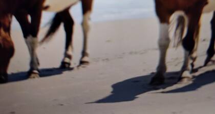 Campground in Horntown, VA , 12 miles from Chincoteague Island, VA