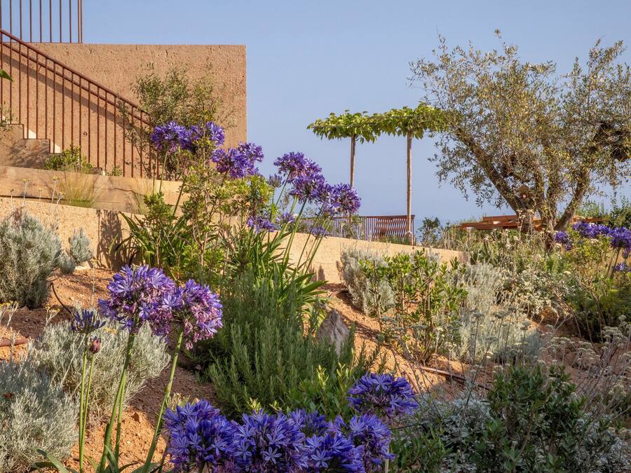 A garden with various plants and flowers, a wooden bench, and a stone wall.